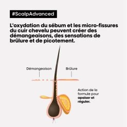 Argile 2-en-1 Scalp Advanced L'Oréal 250ml -Capillaires Produits Magasin 3474637090524 4 85573.1684847762