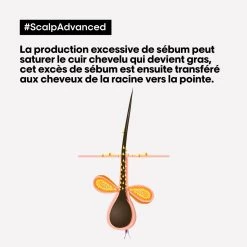 Shampooing Dermo-purifiant Anti Gras Scalp Advanced L'Oréal 1500ml -Capillaires Produits Magasin 3474637106416 4 47452.1684847766