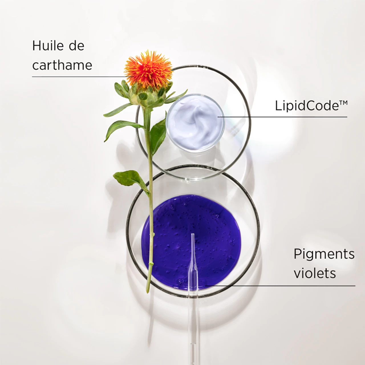 Shampooing LuxeBlond System Professional 1000ml 4 Shampooing LuxeBlond System Professional 1000ml – Image 2